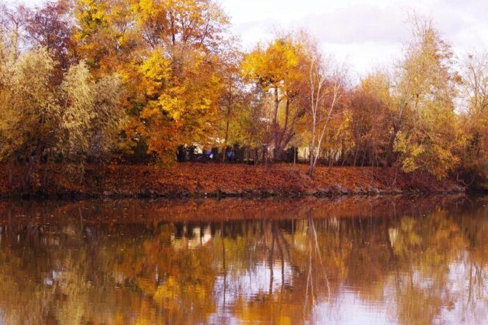 Les bords de l'Oise en Automne, couverts de feuilles oranges et jaunes